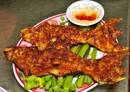 Helen Ngoc Giang chuot dong chien Sa ot.